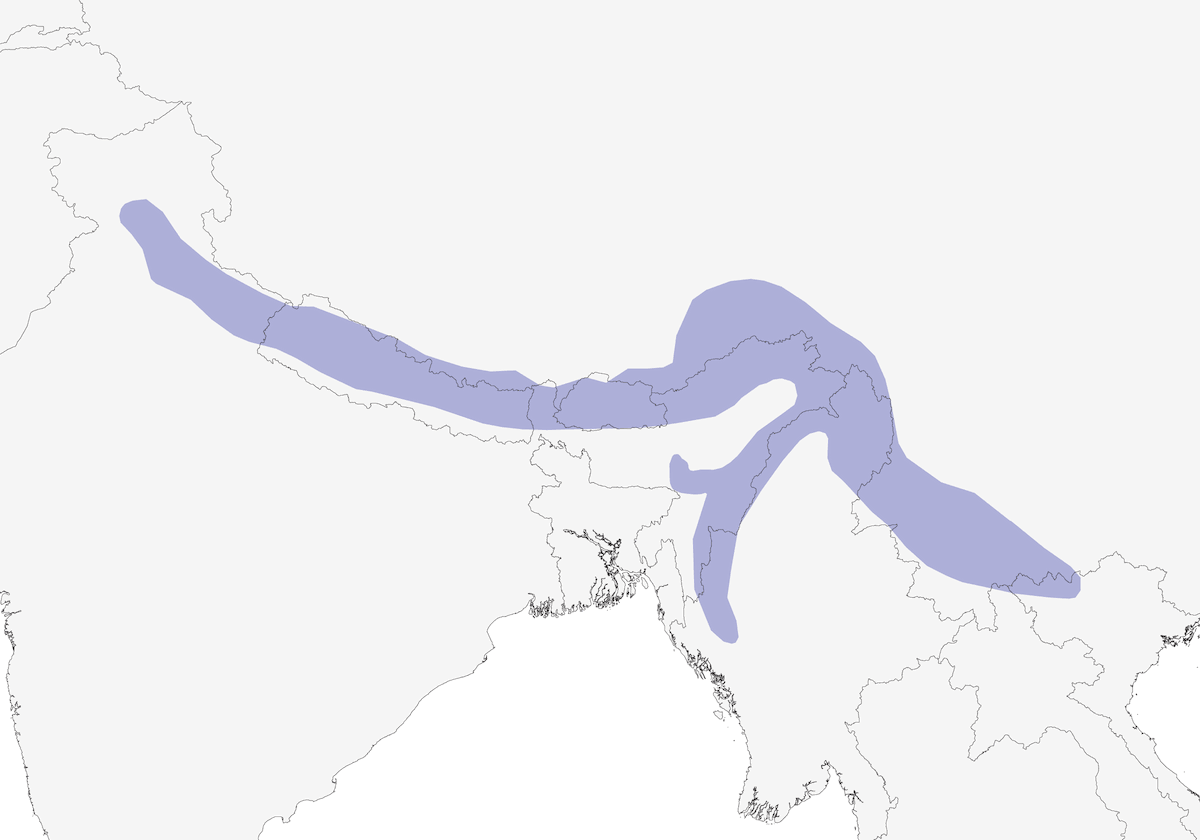 Hill Partridge, Distribution 1