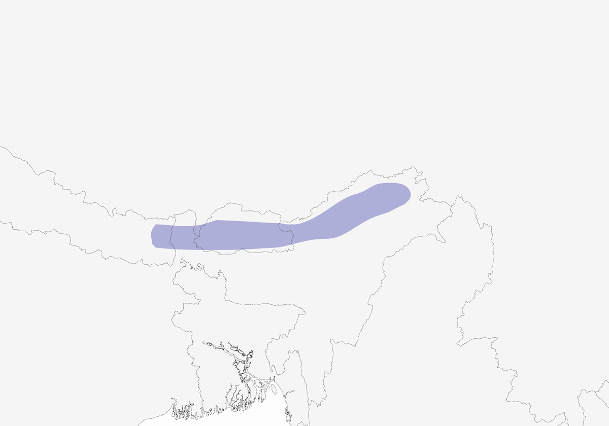 Prinia montagnarde, Distribution 1