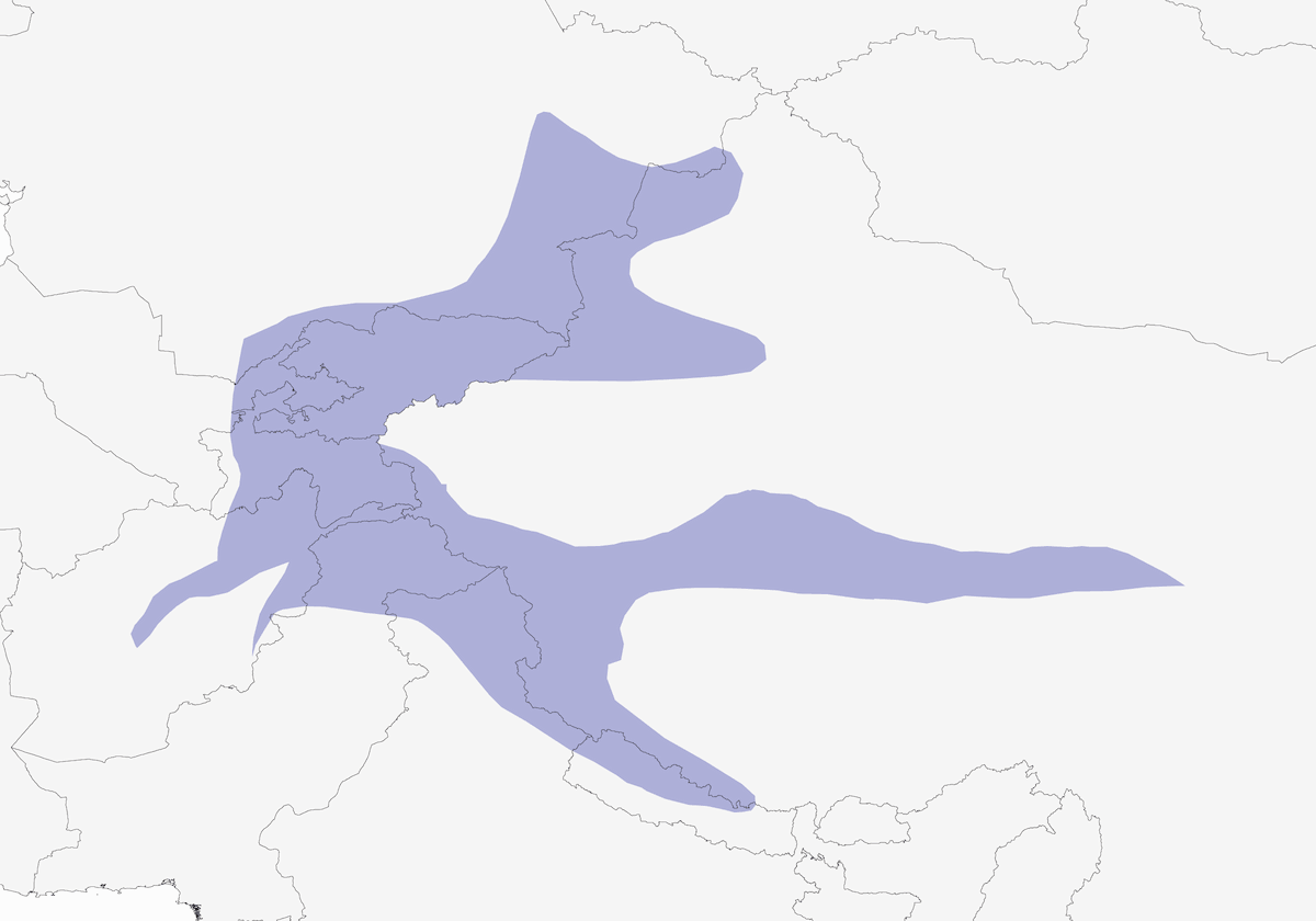 Himalayan Snowcock, Distribution 1