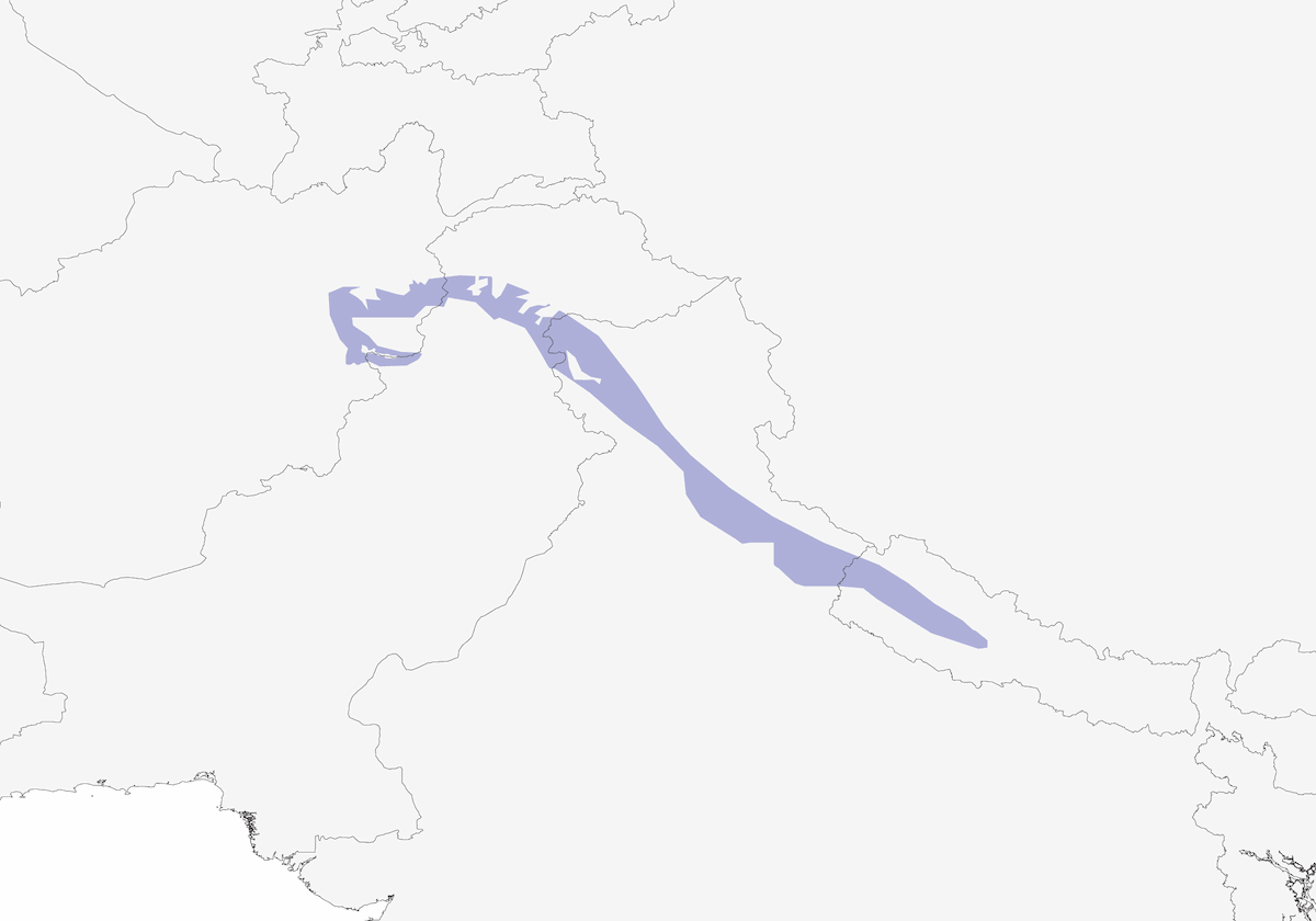 Picchio dell'Himalaya, Distribuzione 1