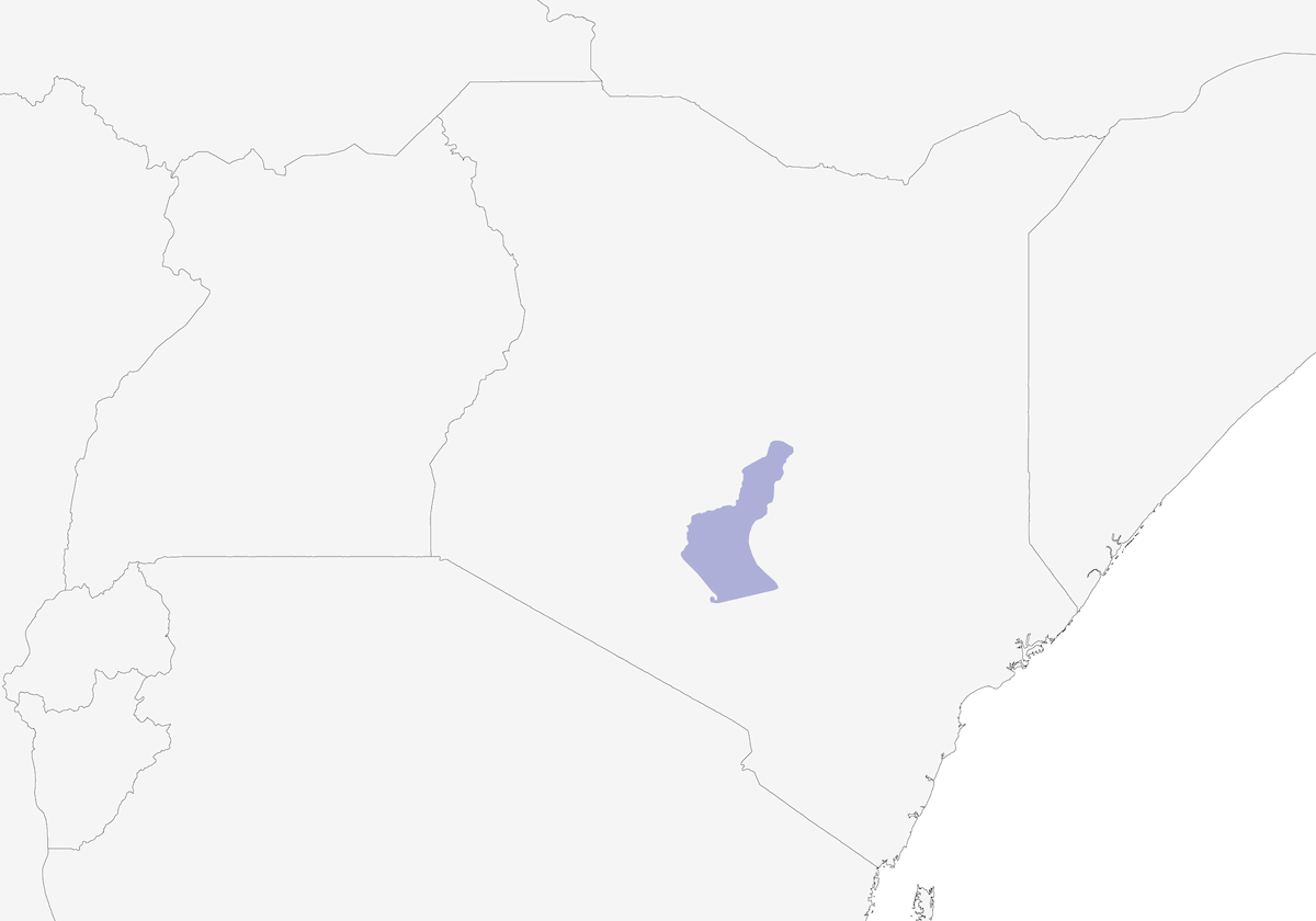 Garrulo di Hinde, Distribuzione 1