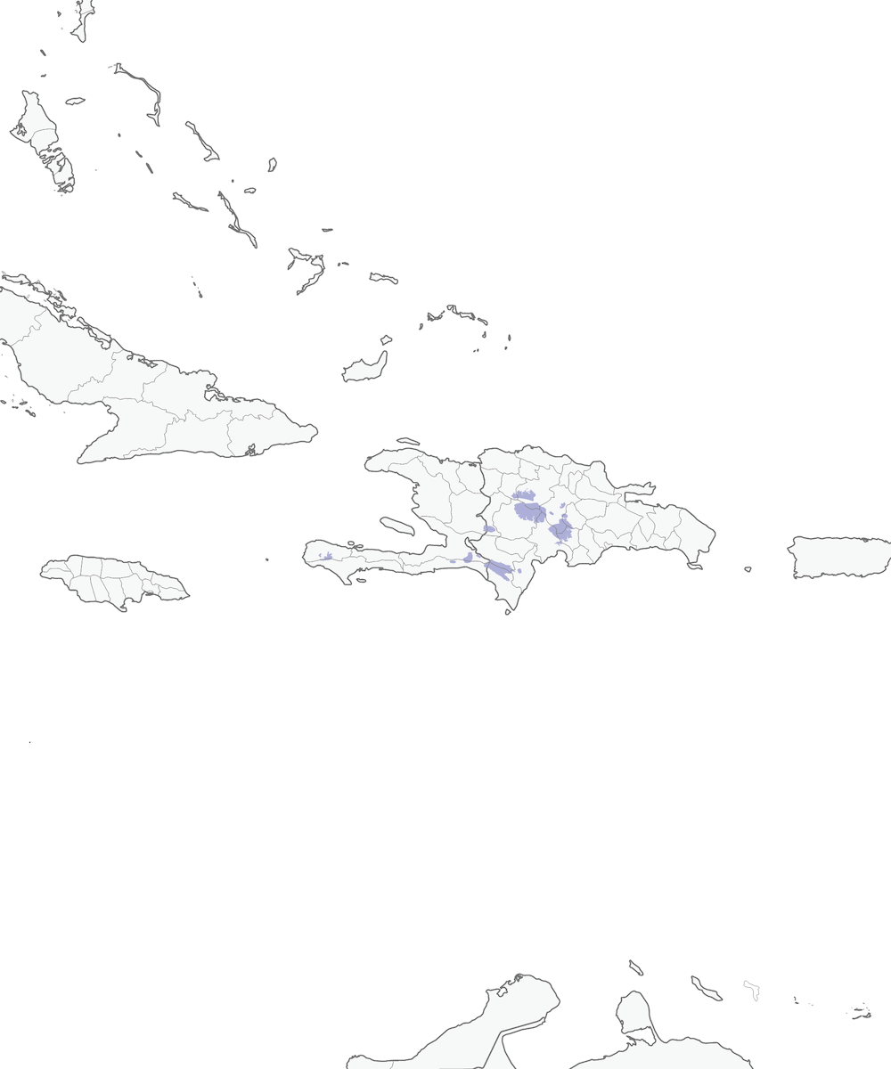 Crociere di Hispaniola, Distribuzione 1