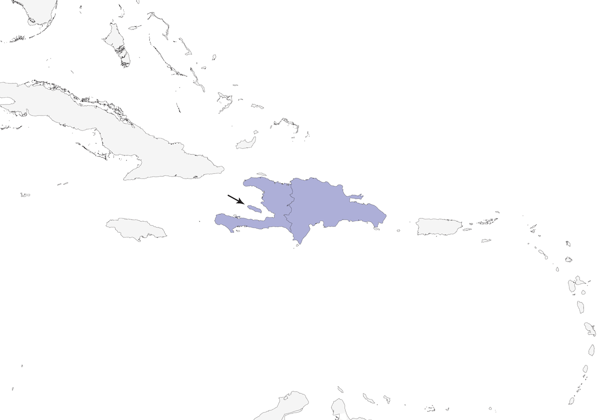 Espindalis de La Española, Distribución 1