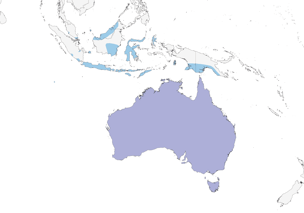 Horsfield's Bronze-Cuckoo, 分布 1