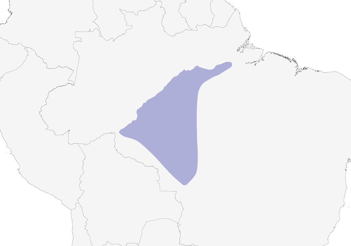 Hoffmanns's Woodcreeper, Distribution 1