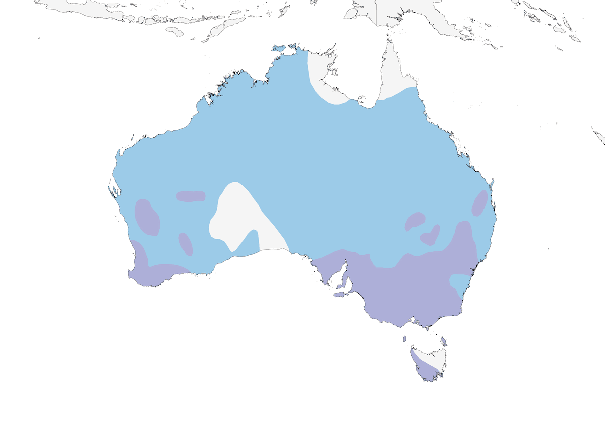 Hoary-headed Grebe, Distribution 1