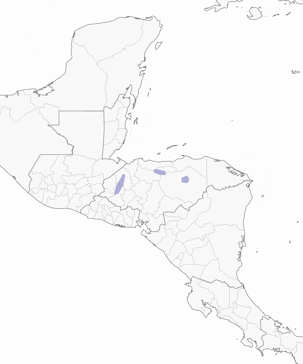Smeraldo dell'Honduras, Distribuzione 1