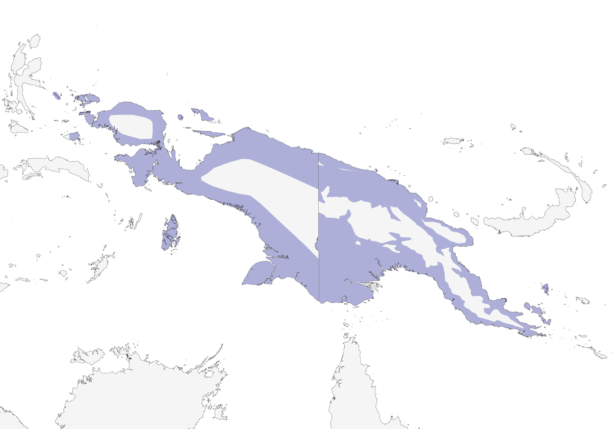 Uccello macellaio incappucciato, Distribuzione 1