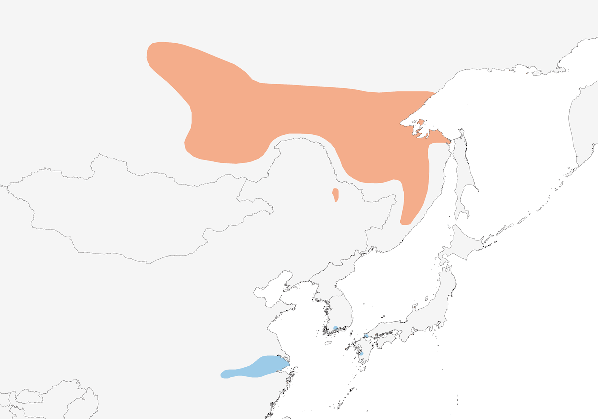 Hooded Crane, Distribution 1