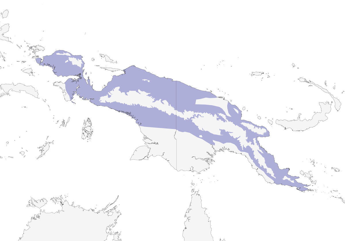 Monarca dal cappuccio, Distribuzione 1