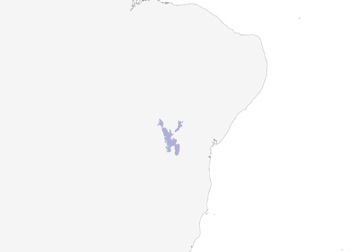 Hooded Visorbearer, Distribution 1