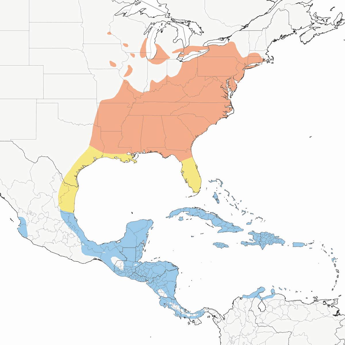 Parula dal cappuccio, Distribuzione 1
