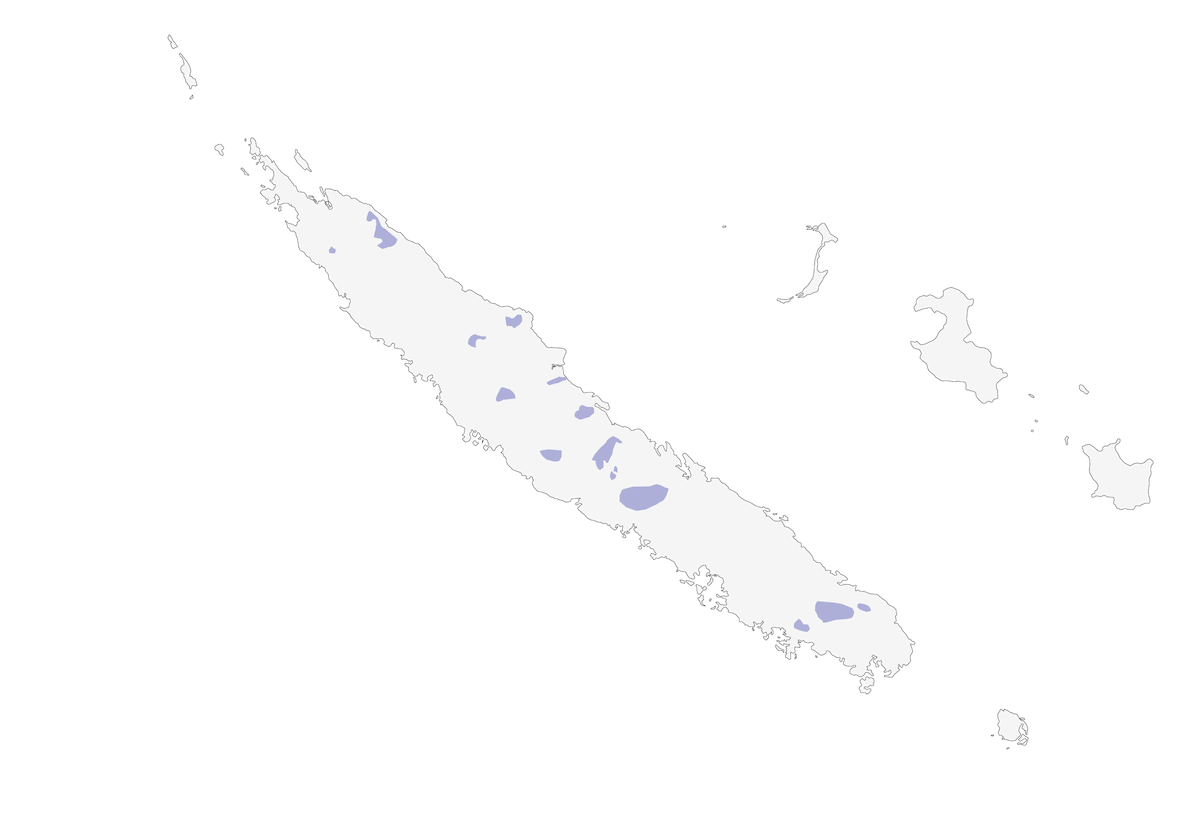 Parrocchetto cornuto, Distribuzione 1