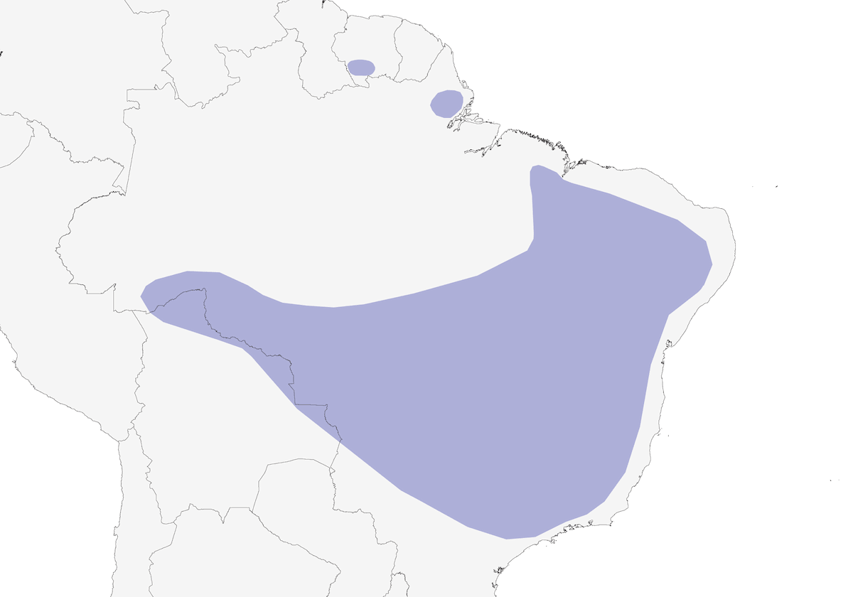 Colibrí Diademado, Distribución 1