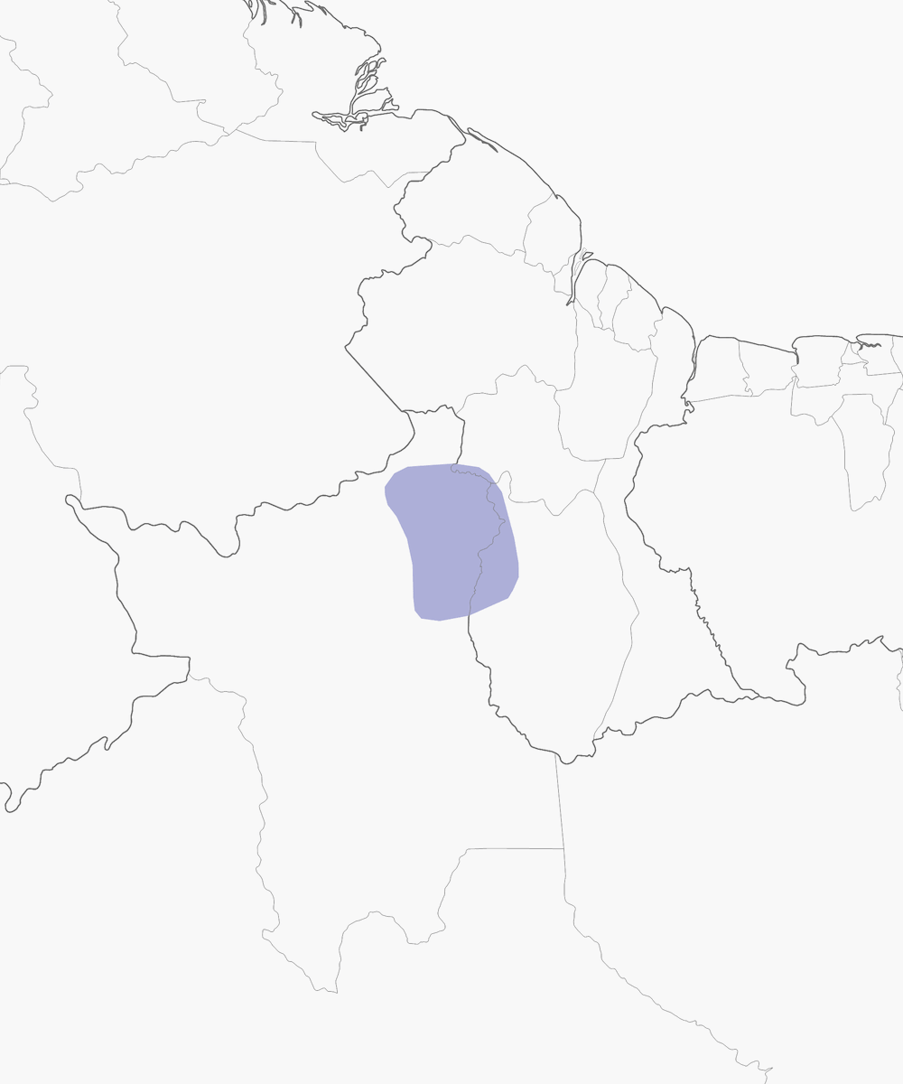 Codaspina gola chiara, Distribuzione 1