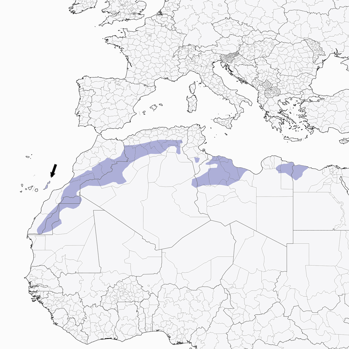 Avutarda Hubara Africana, Distribución 1