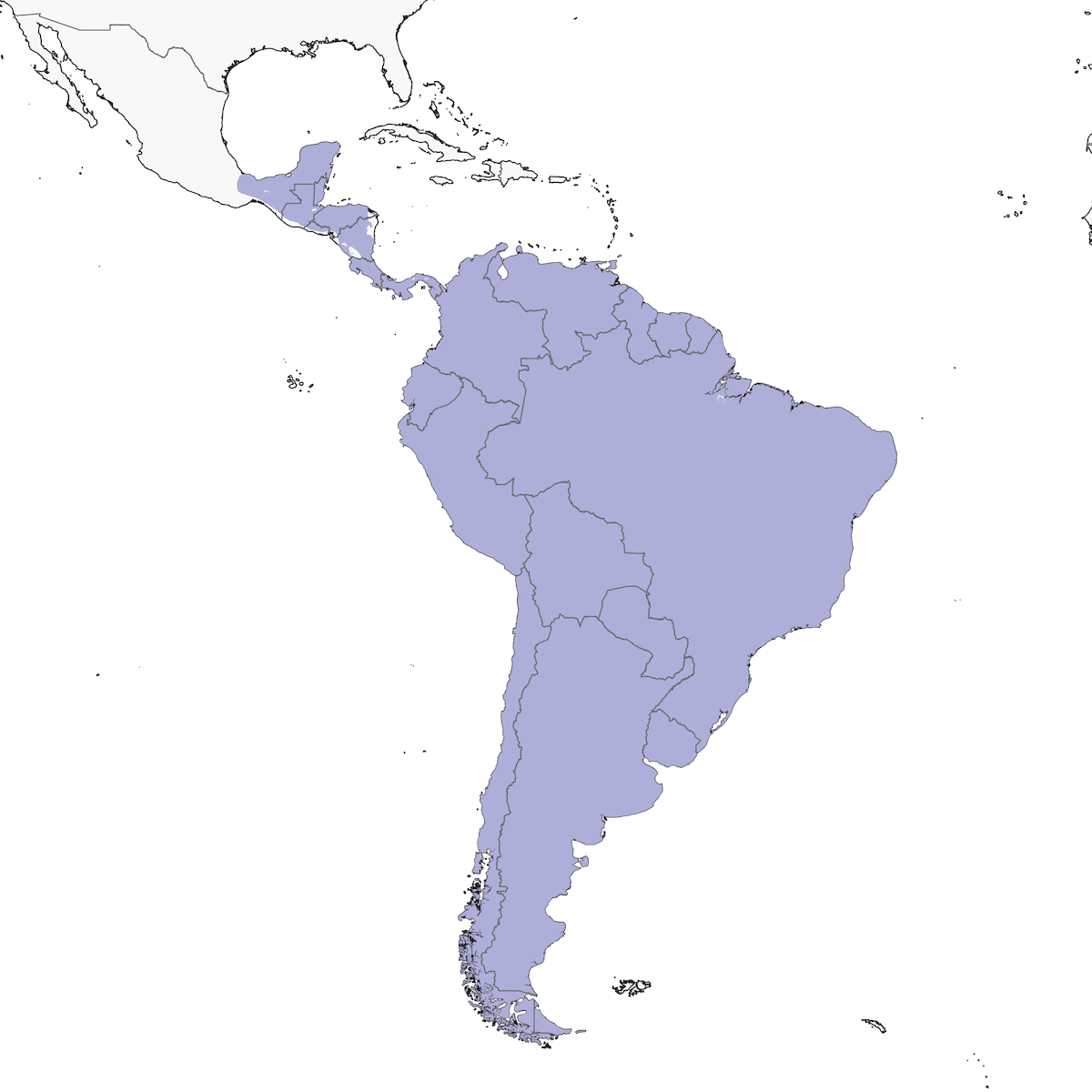 Troglodyte familier, Distribution 1