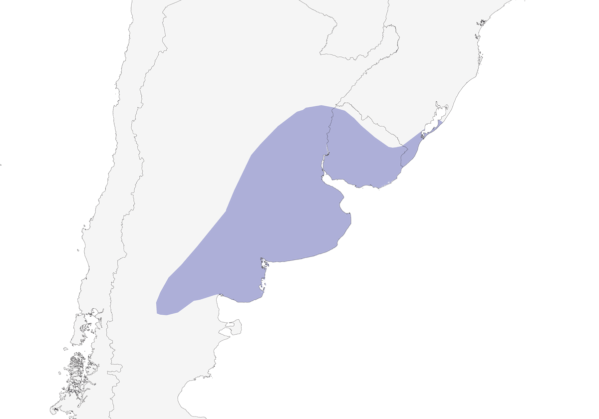 Canastero di Hudson, Distribuzione 1