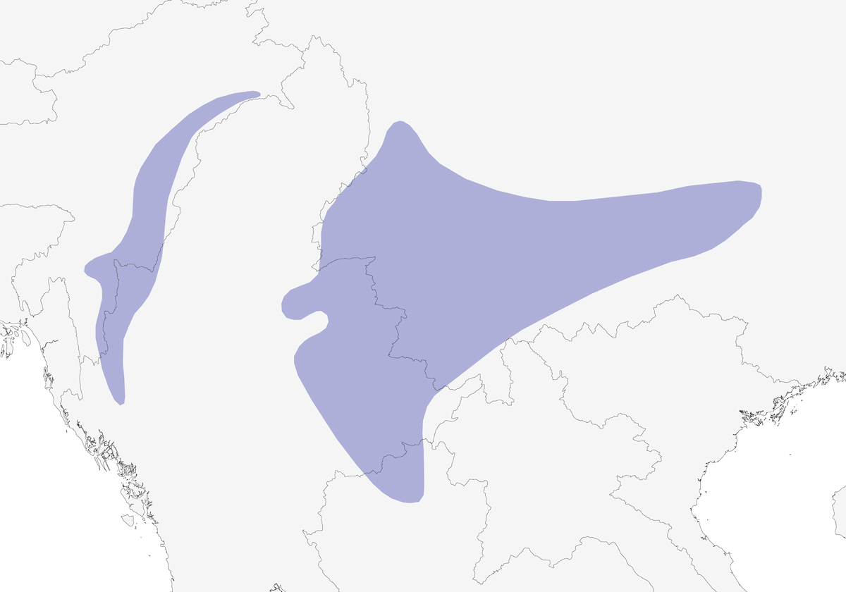 Fagiano di Hume, Distribuzione 1