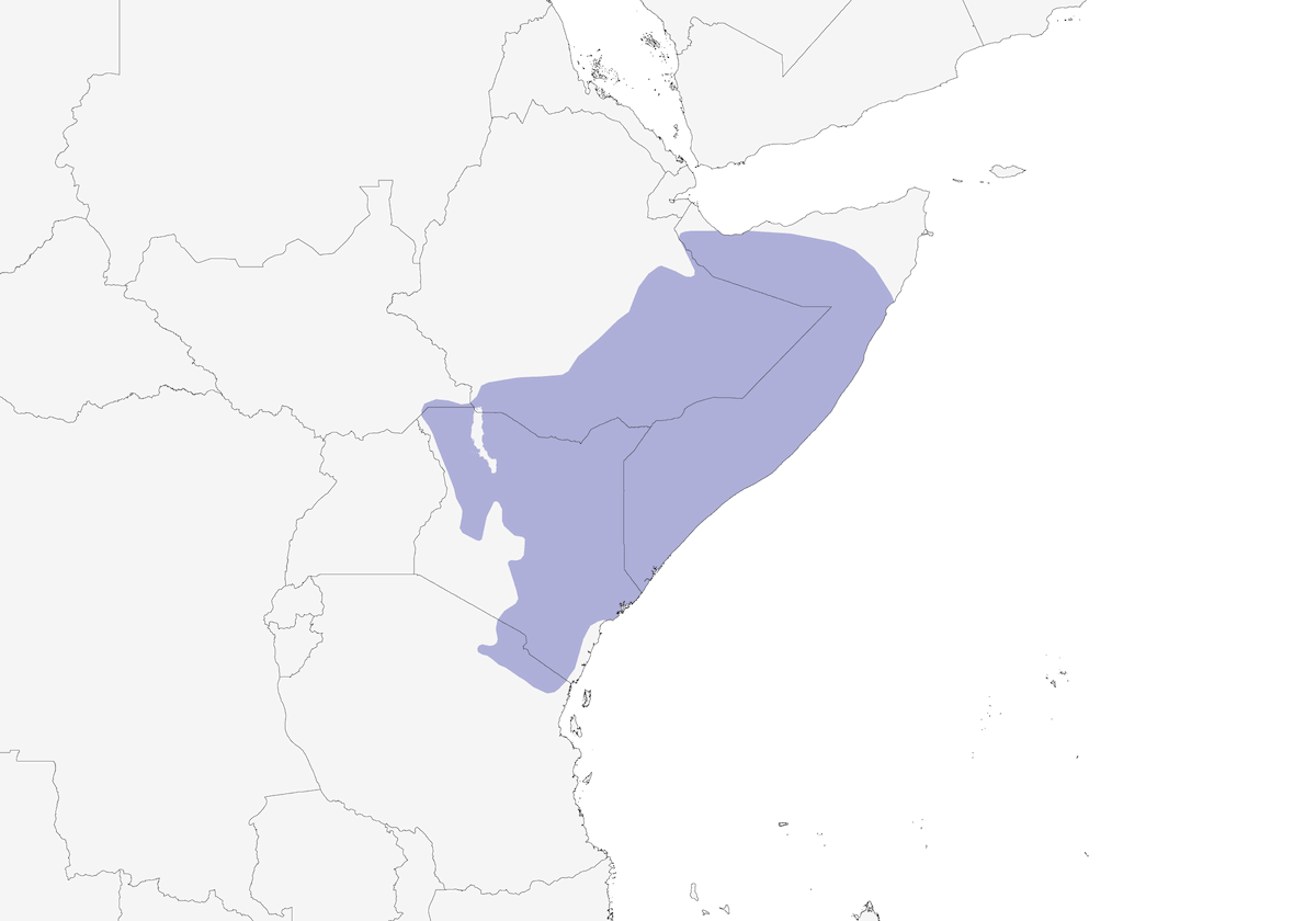Hunter's Sunbird, Distribution 1