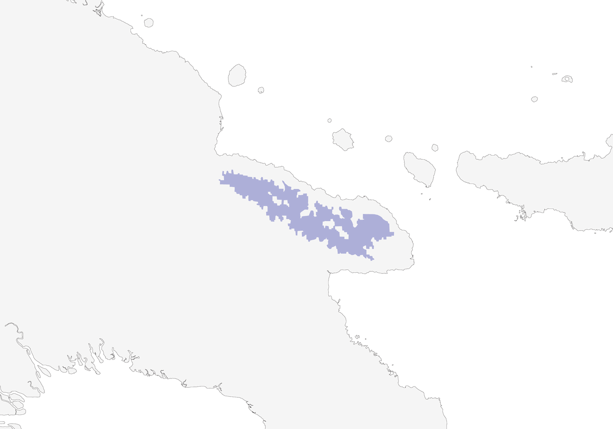 Huon Astrapia, Distribution 1