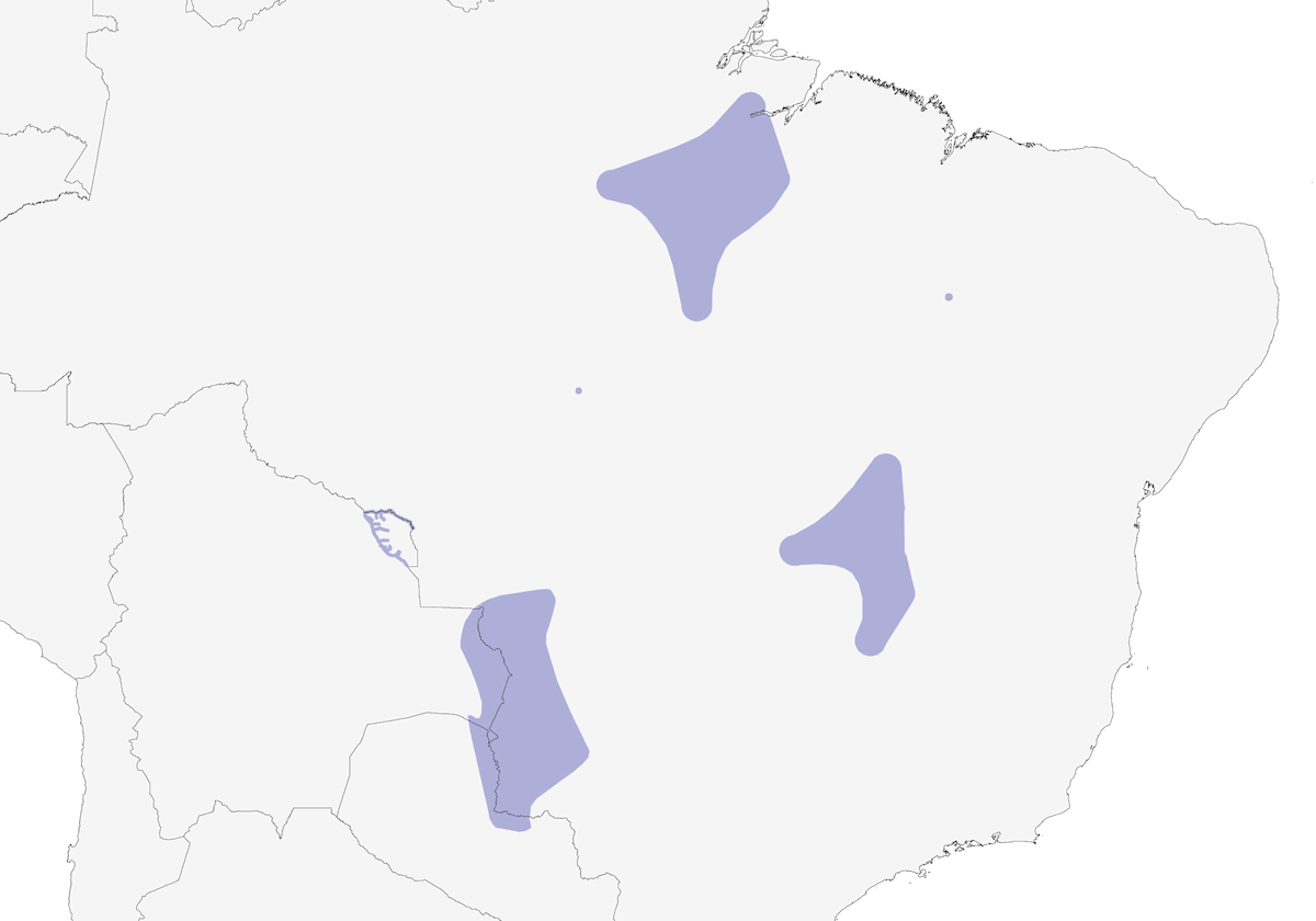 Guacamayo Jacinto, Distribución 1