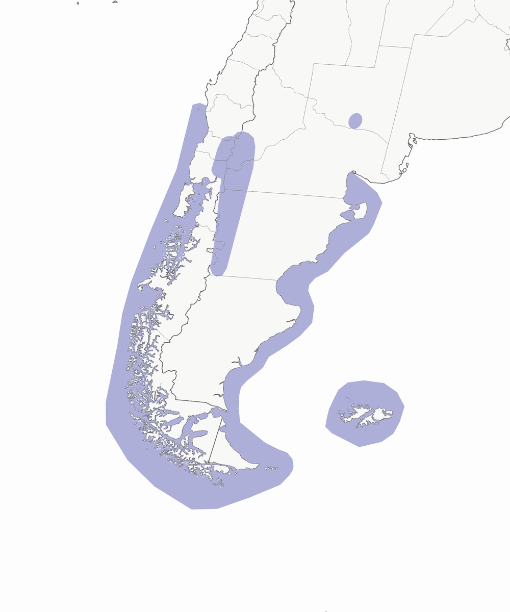 Cormorán imperial, Distribución 1