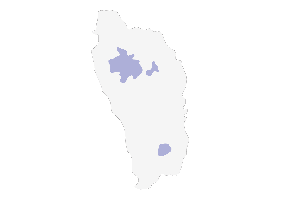Amazone impériale, Distribution 1