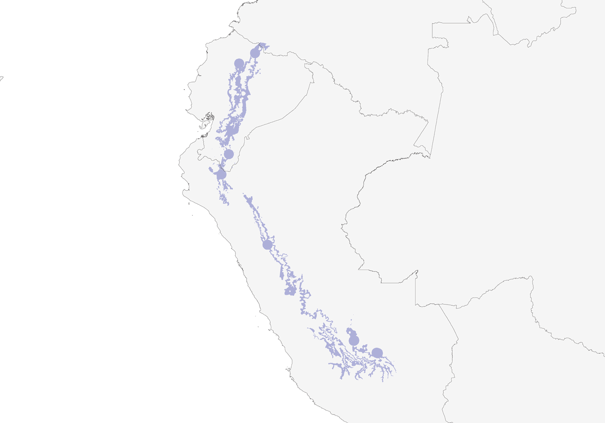 Agachadiza Imperial, Distribución 1