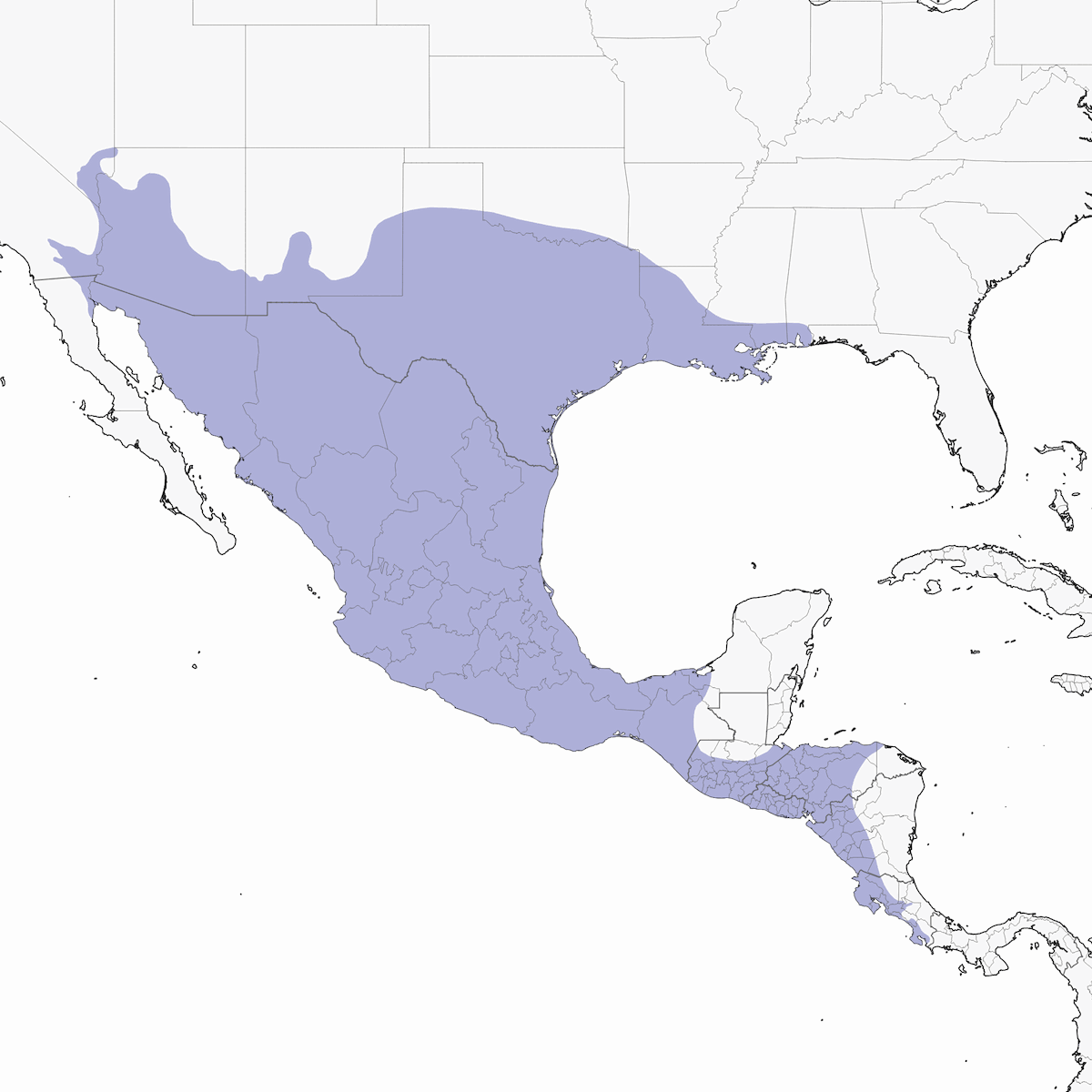 Tórtola inca, Distribución 1