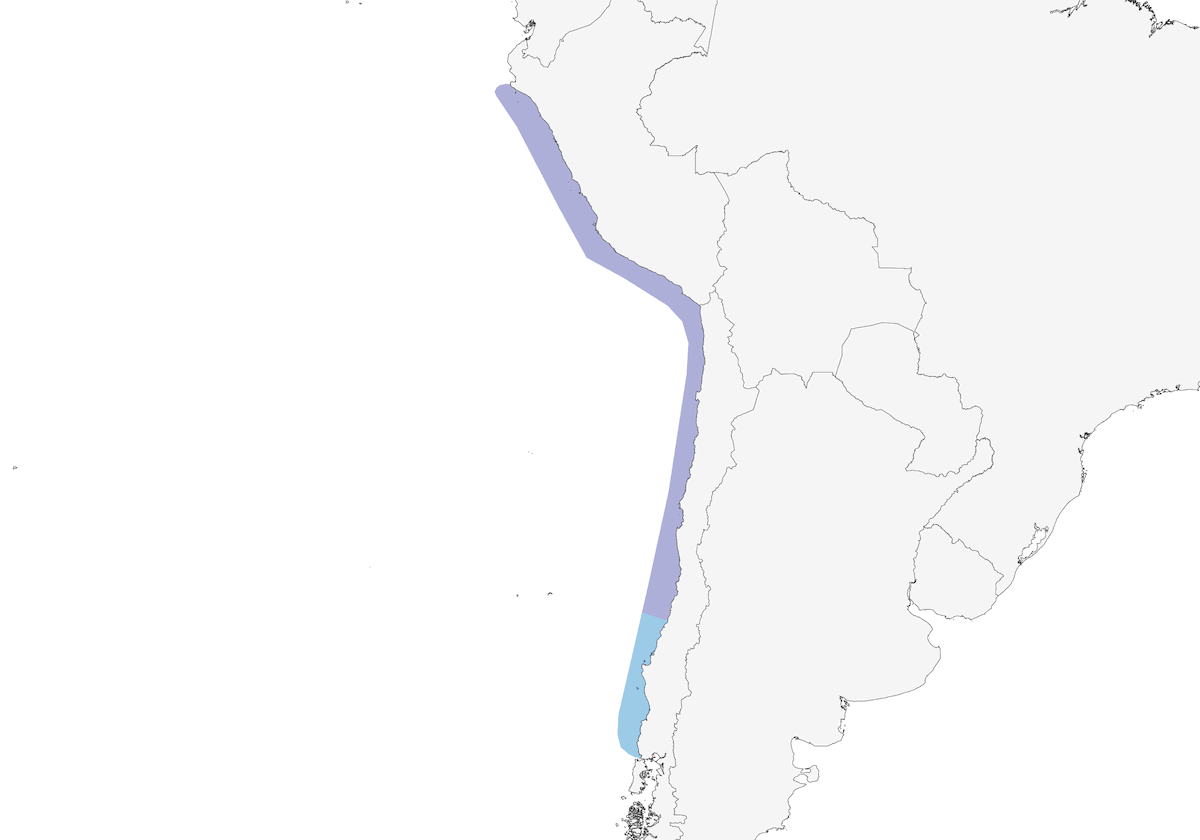 Zarcillo, Distribución 1