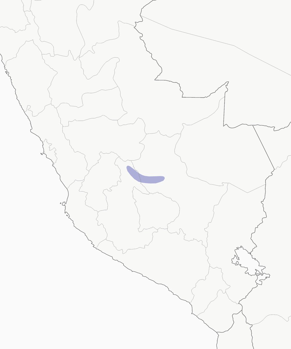 Inca Wren, 分布 1