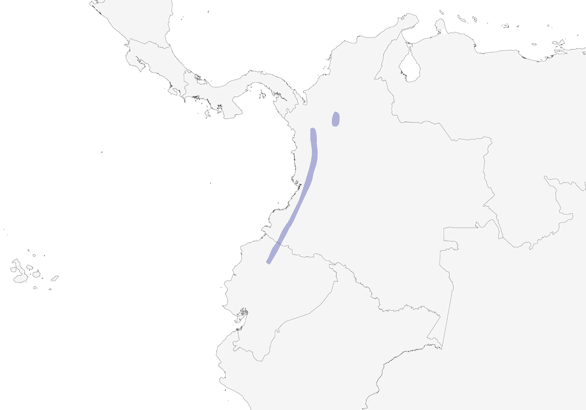 Beccafiori indaco, Distribuzione 1