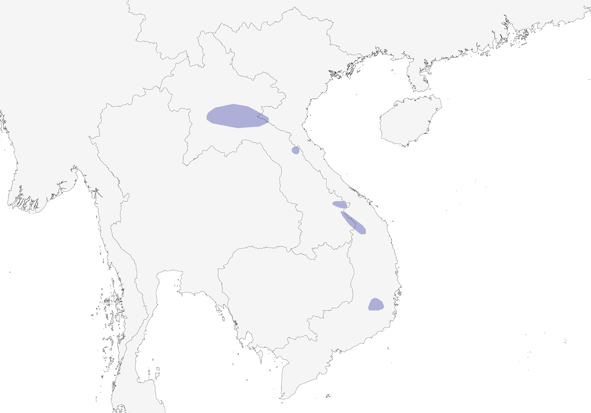 Fulveta indochina, Distribución 1