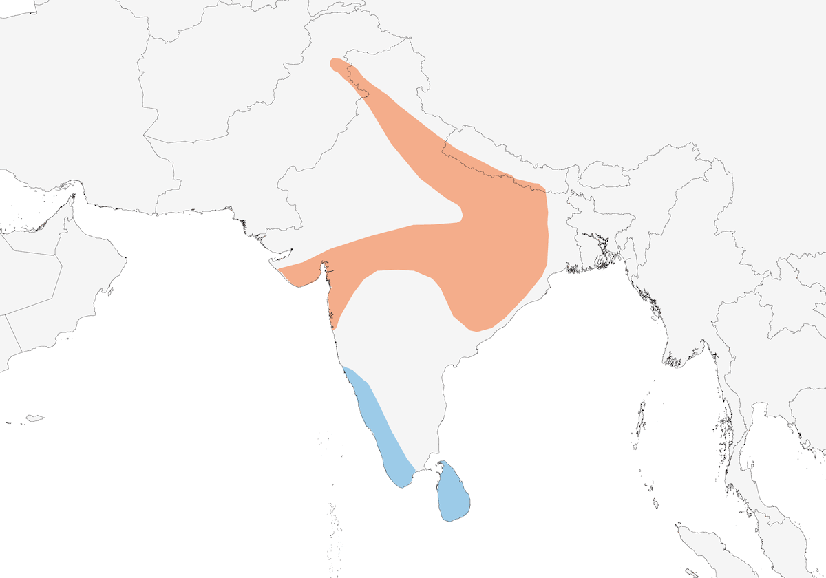 Bengalenpitta, Verbreitung 1