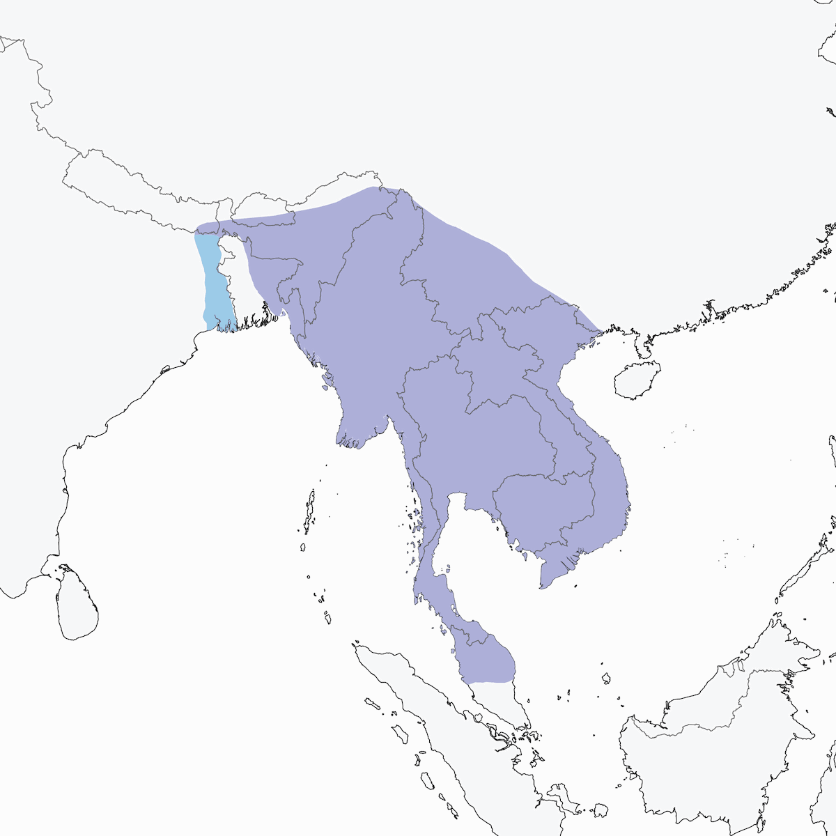 Ghiandaia marina indocinese, Distribuzione 1