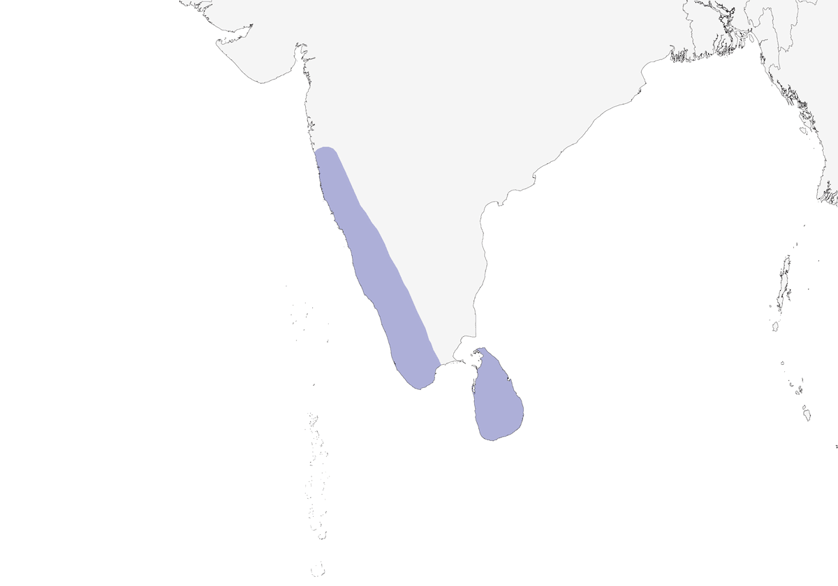 Indische Salangane, Verbreitung 1