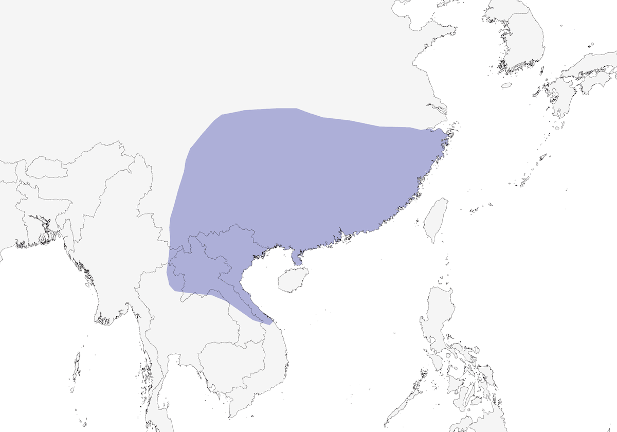 Indochinese Yuhina, Distribution 1