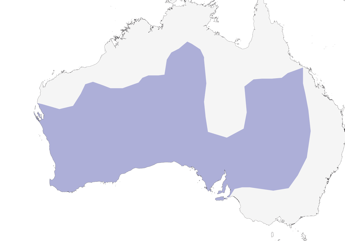 Inland Thornbill, Distribution 1