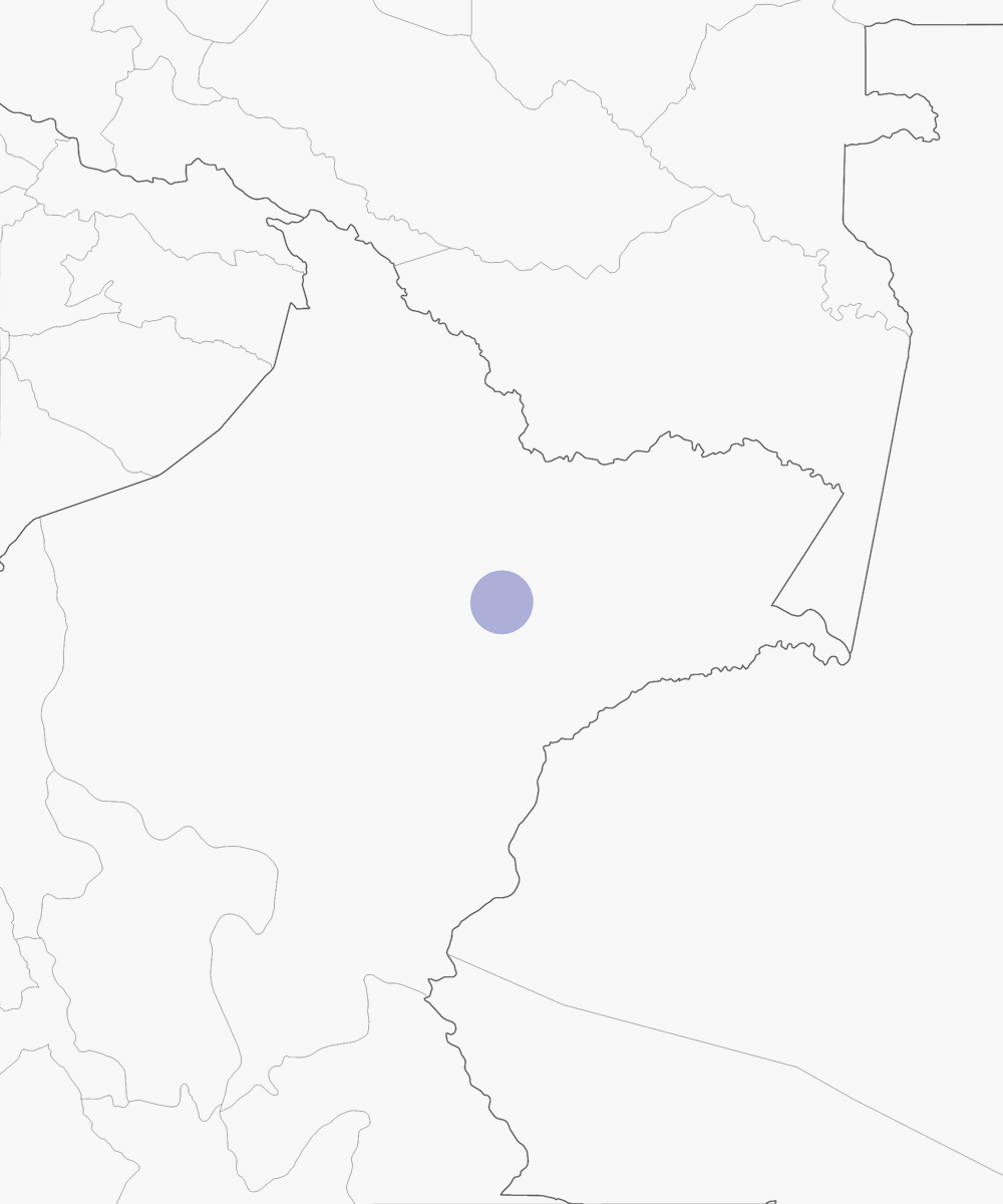 Perlita de Iquitos, Distribución 1
