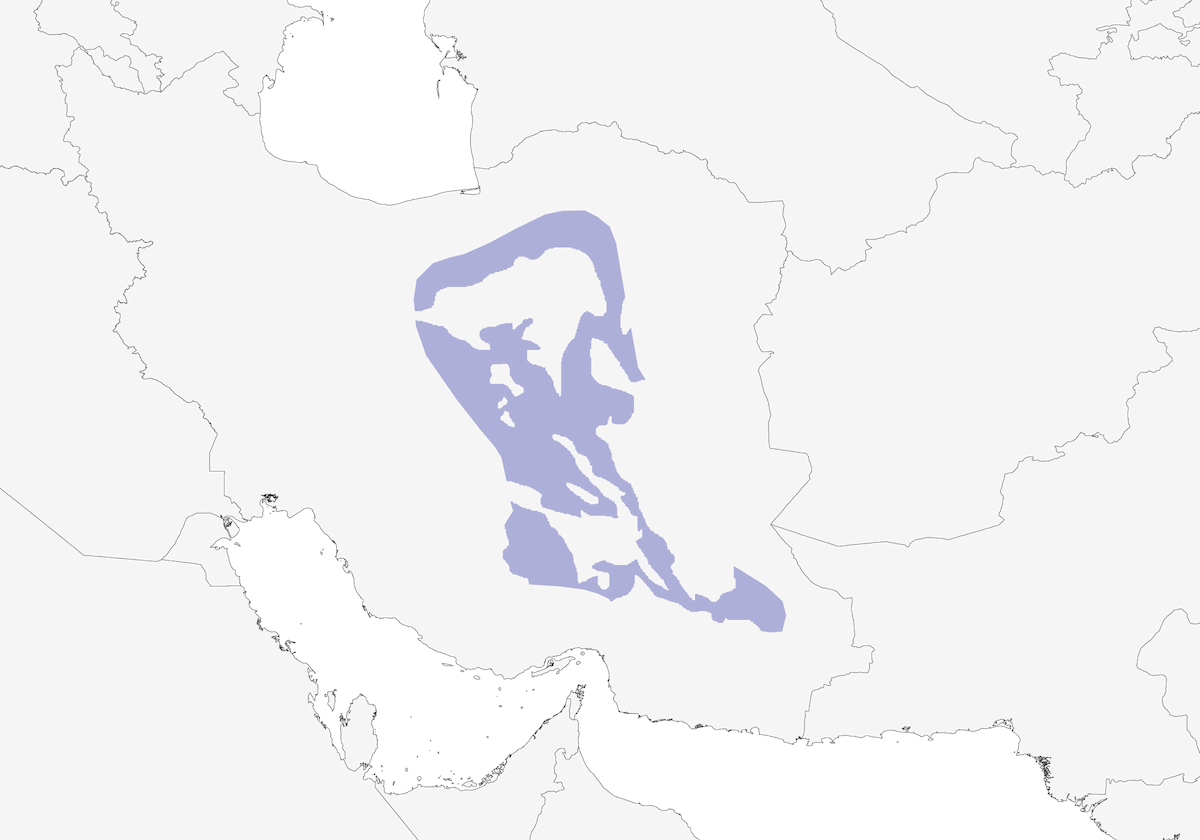 Iranischer Erdhäher, Verbreitung 1
