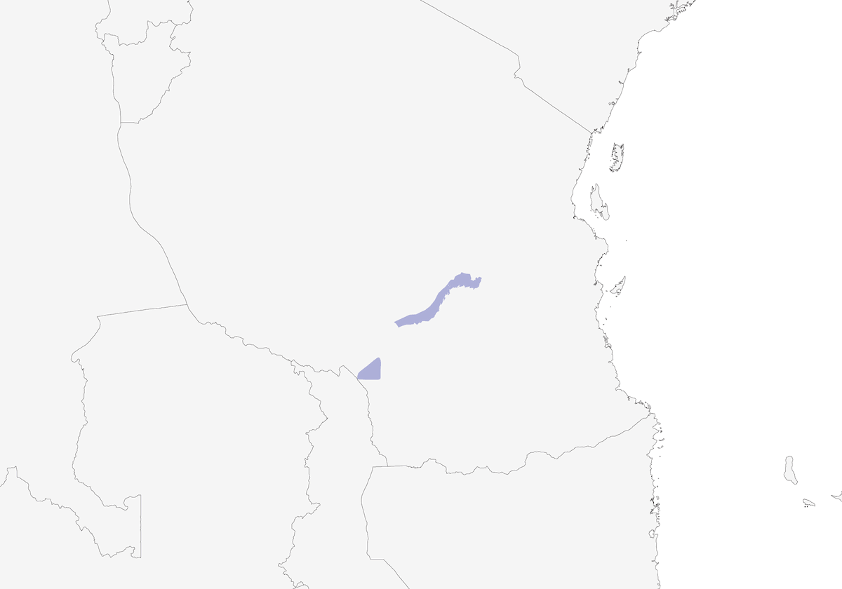 Iringa Akalat, Distribution 1