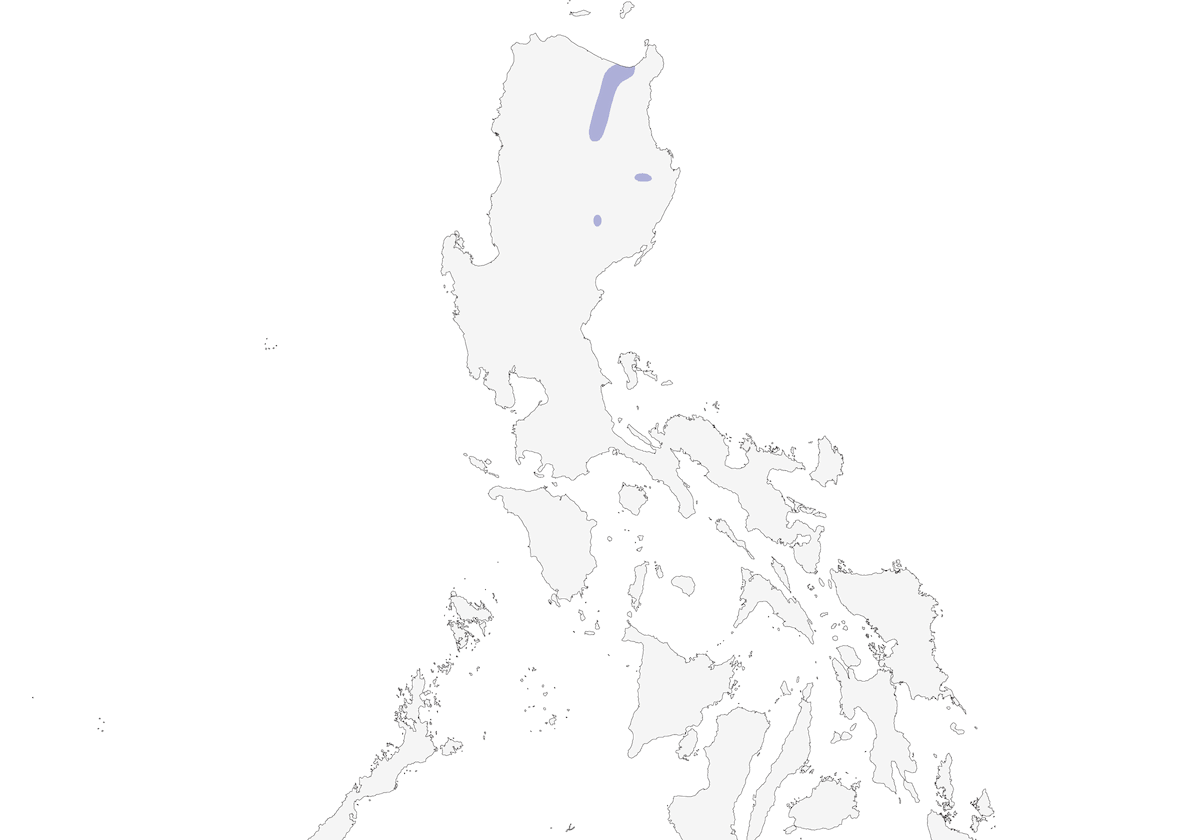 Oriole d'Isabela, Distribution 1