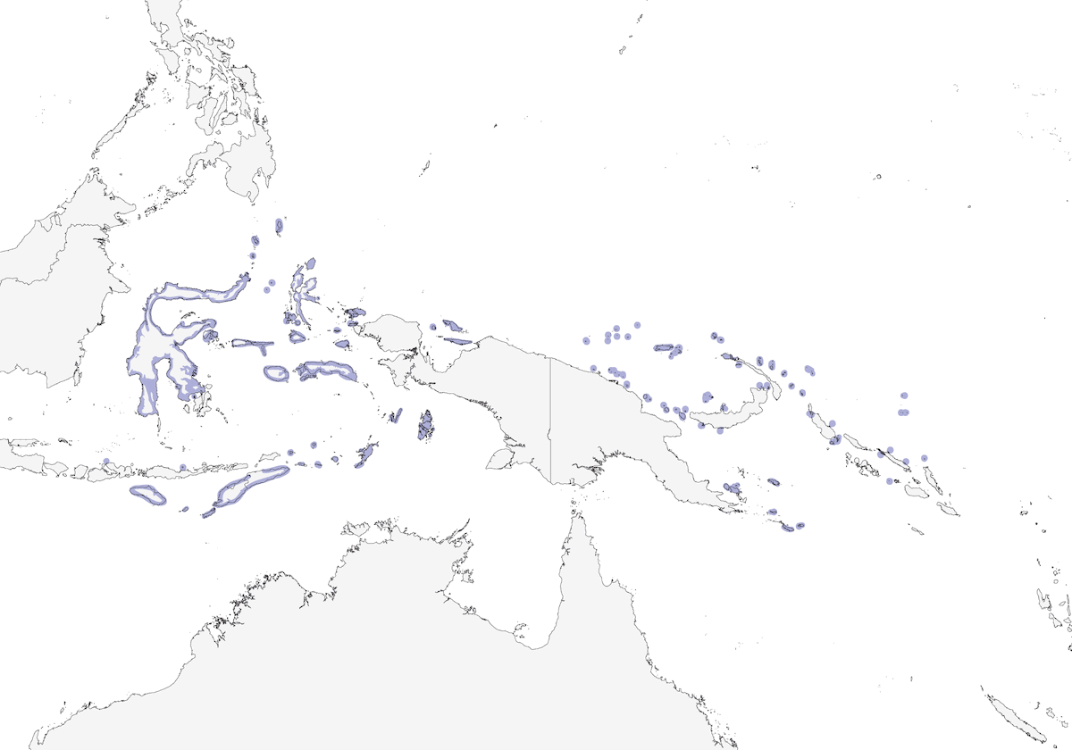 Island Monarch, Distribution 1