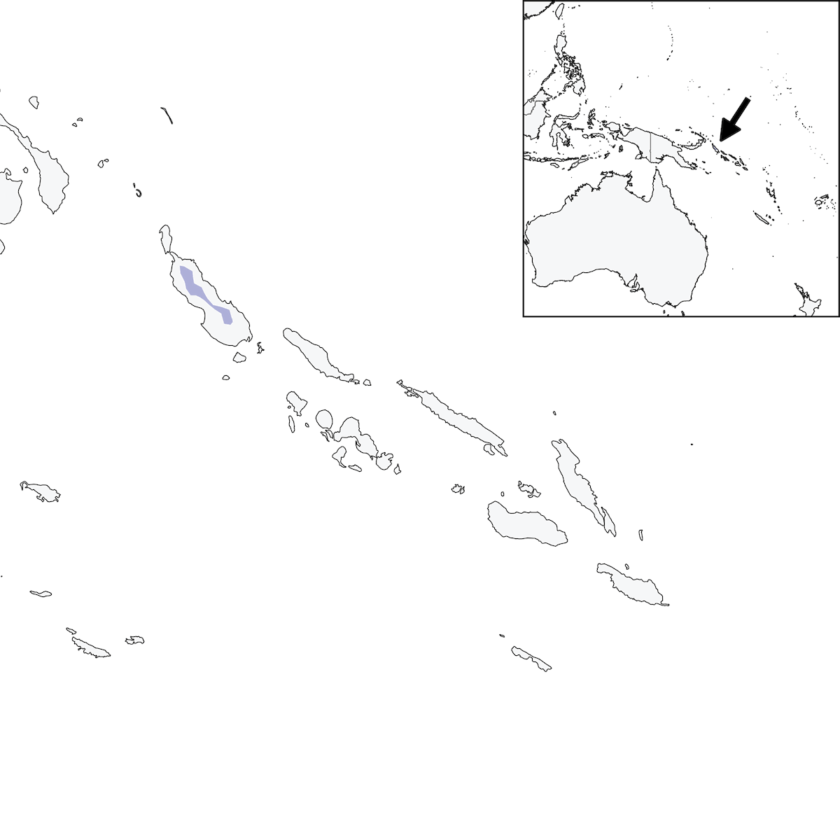 Tordo dell'isola di Bougainville, Distribuzione 1