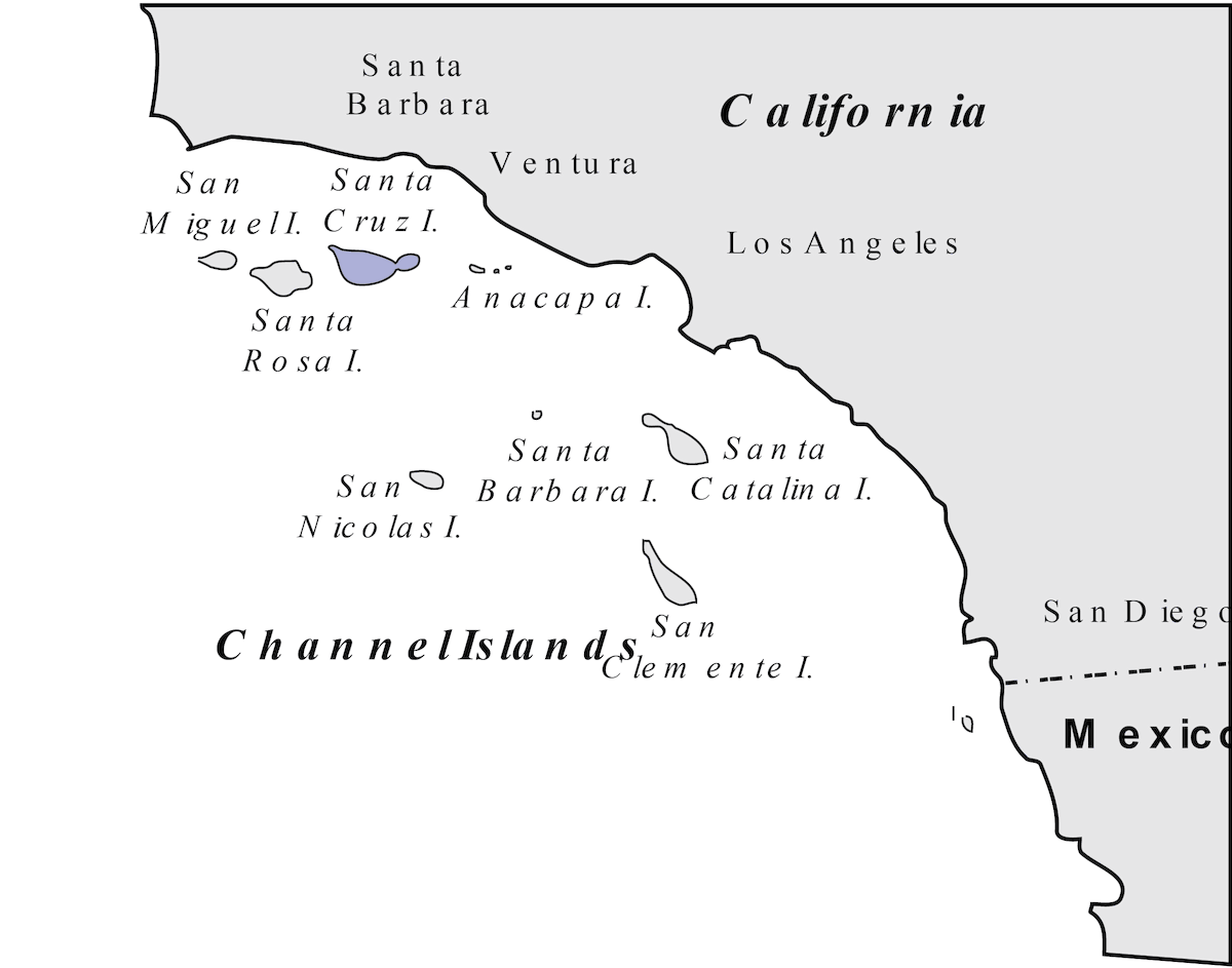 Ghiandaia delle isole, Distribuzione 1