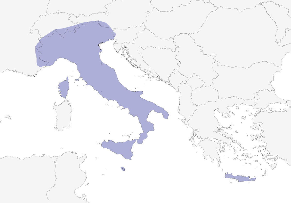 Gorrión Italiano, Distribución 1
