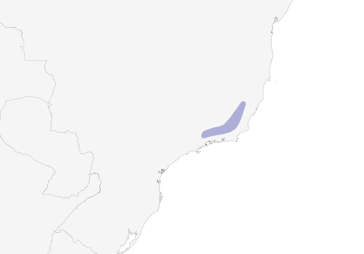 Itatiaia Spinetail, Distribution 1