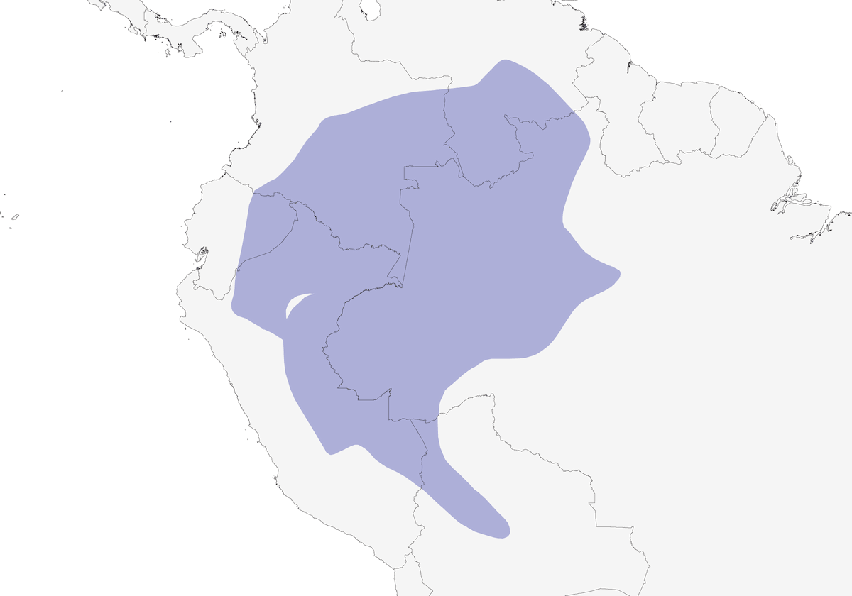 Arasarí Picomarfil, Distribución 1