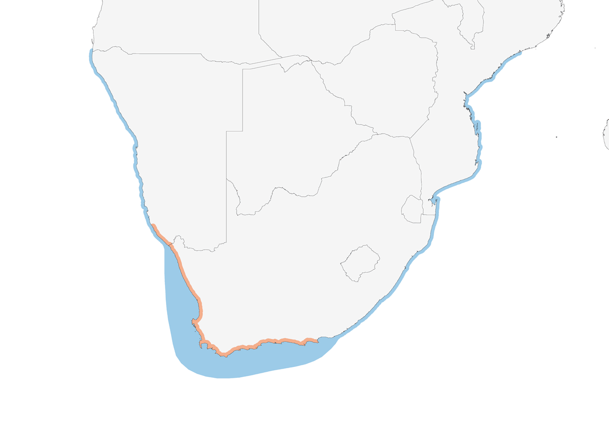 Pinguino africano, Distribuzione 1